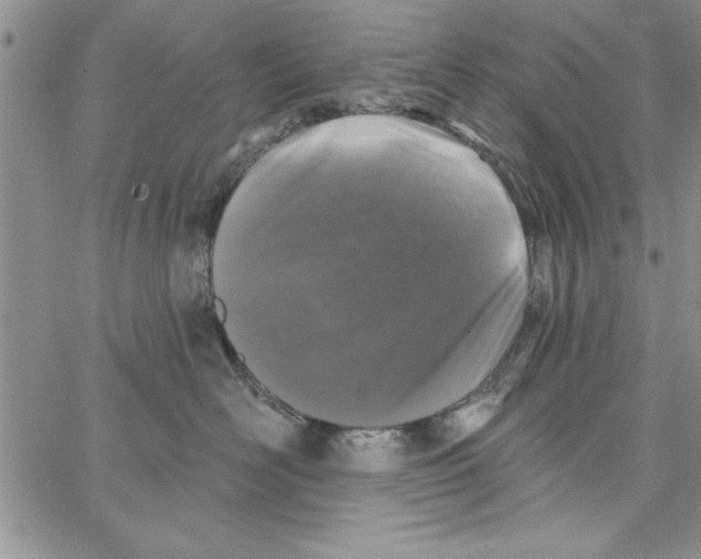 X0000066970526200604211909