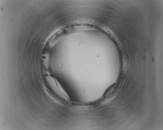 X0000066970530200604211909