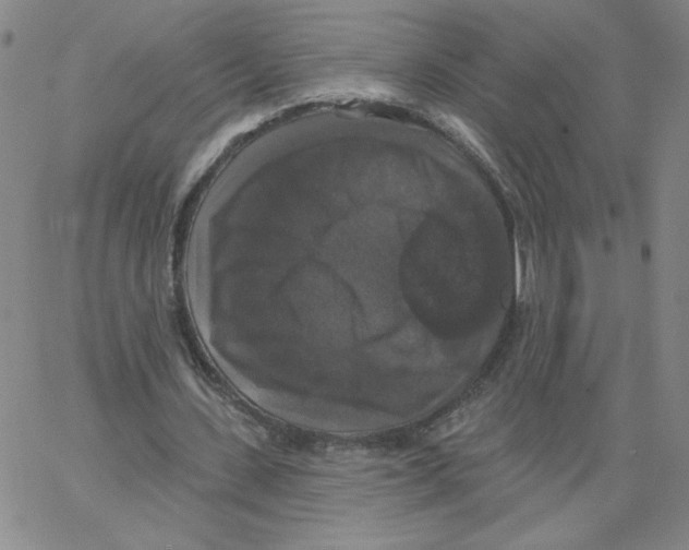 X0000066970531200604211909