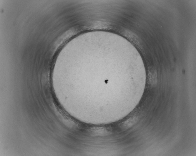 X0000066970534200604211909