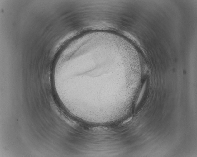 X0000066970535200604211909