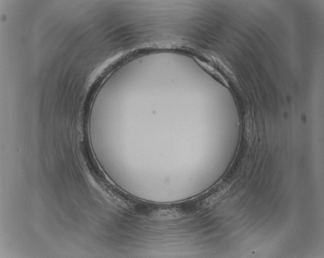 X0000066970536200604211909