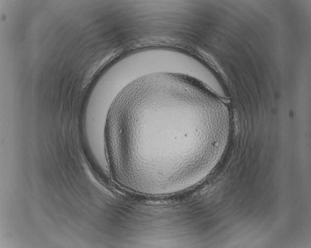 X0000066970538200604211909