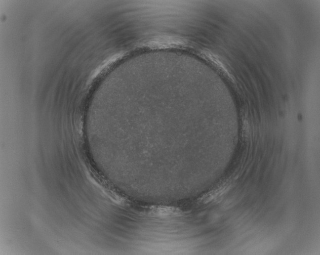 X0000066970539200604211909