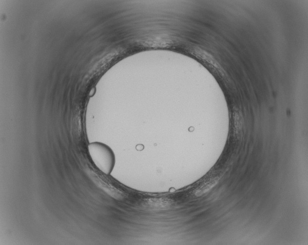 X0000066970541200604211909