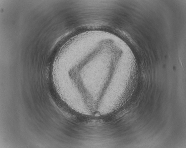 X0000066970543200604211909