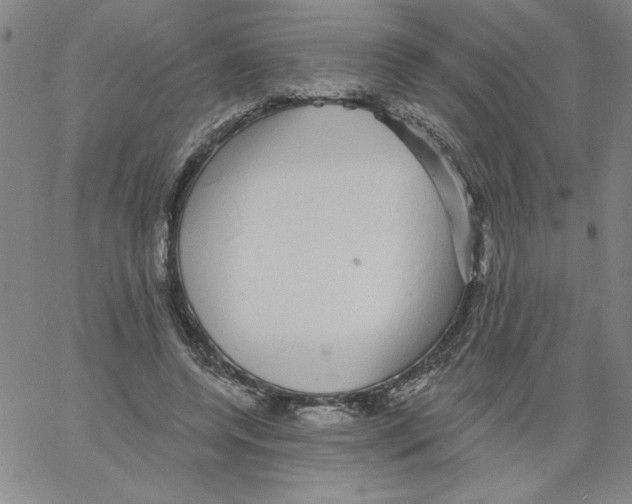 X0000066970544200604211909