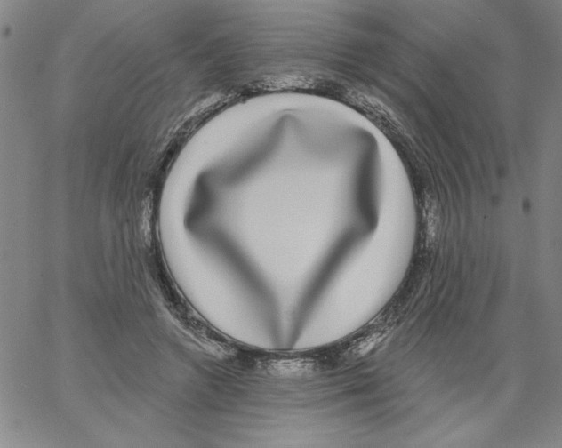 X0000066970546200604211909