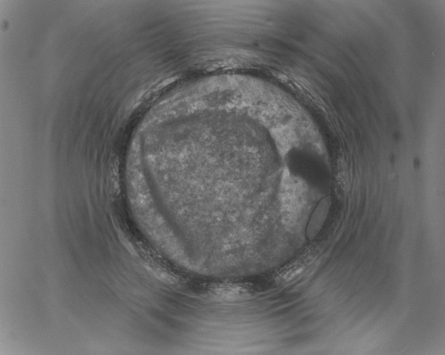 X0000066970547200604211909