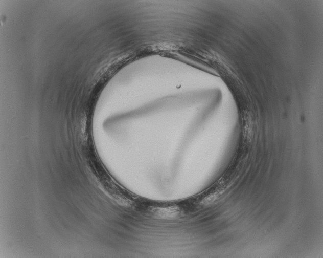 X0000066970548200604211909