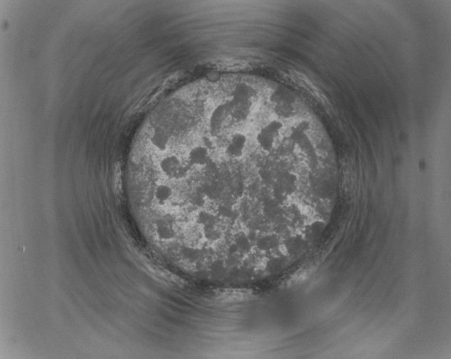 X0000066970549200604211909