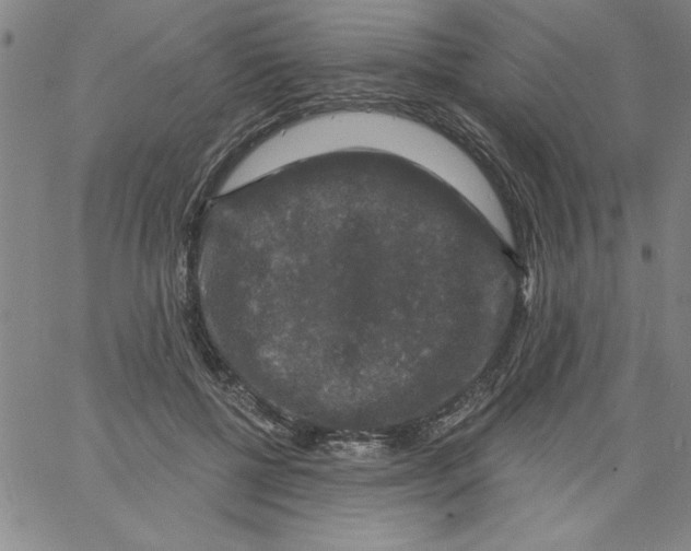 X0000066970552200604211909