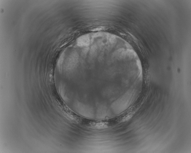 X0000066970553200604211909