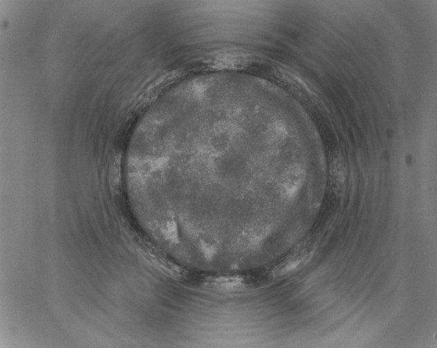 X0000066970554200604211909