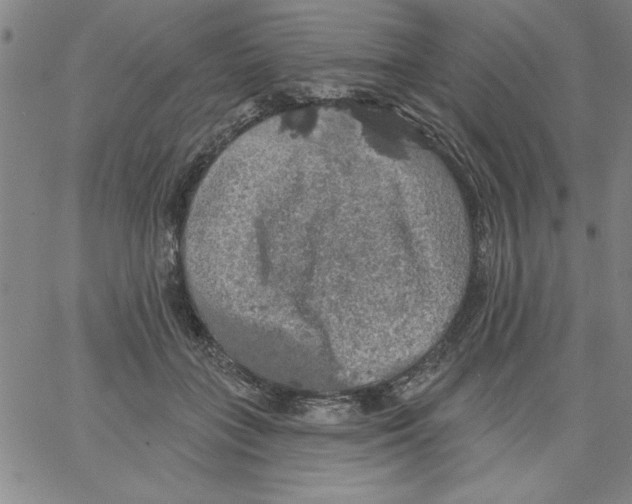 X0000066970555200604211909