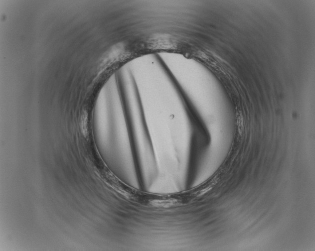 X0000066970556200604211909