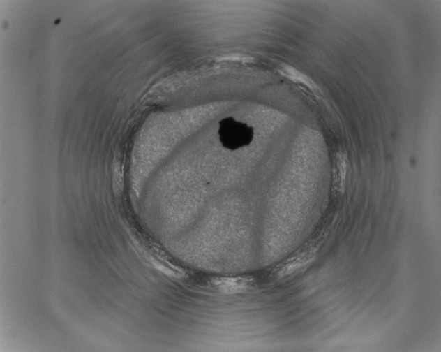 X0000066970558200604211909