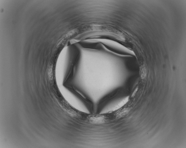 X0000066970560200604211909