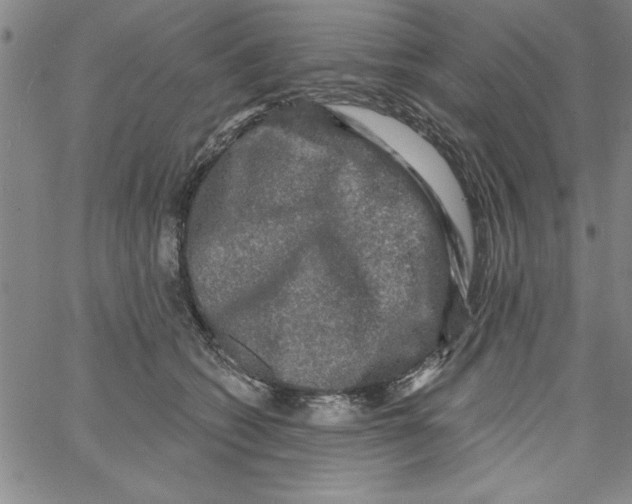 X0000066970562200604211909