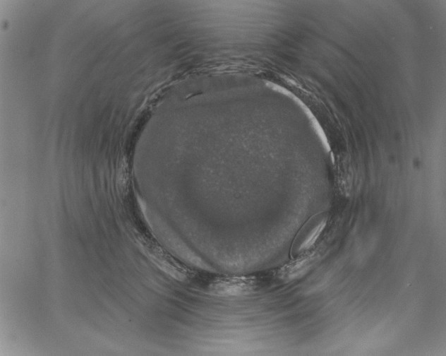 X0000066970563200604211909