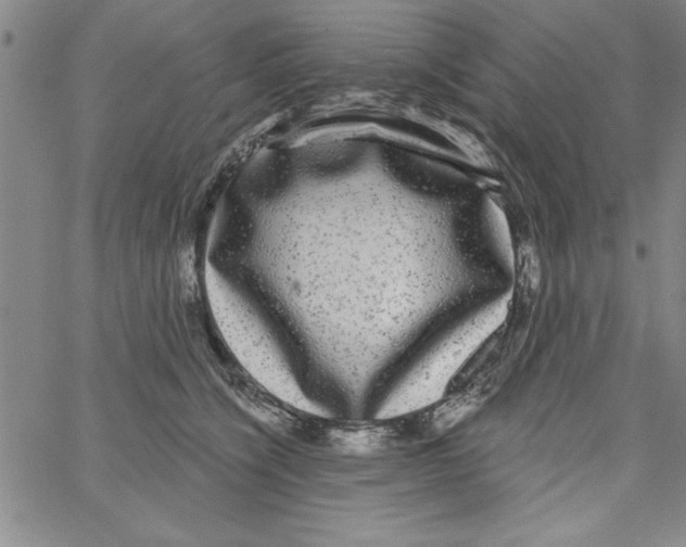 X0000066970564200604211909