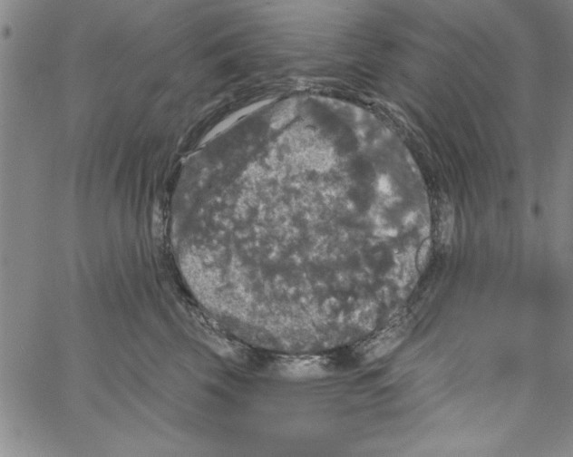 X0000066970569200604211909