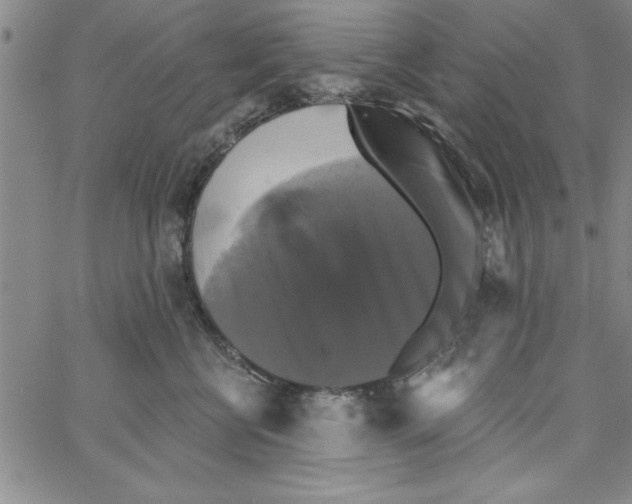 X0000066970570200604211909