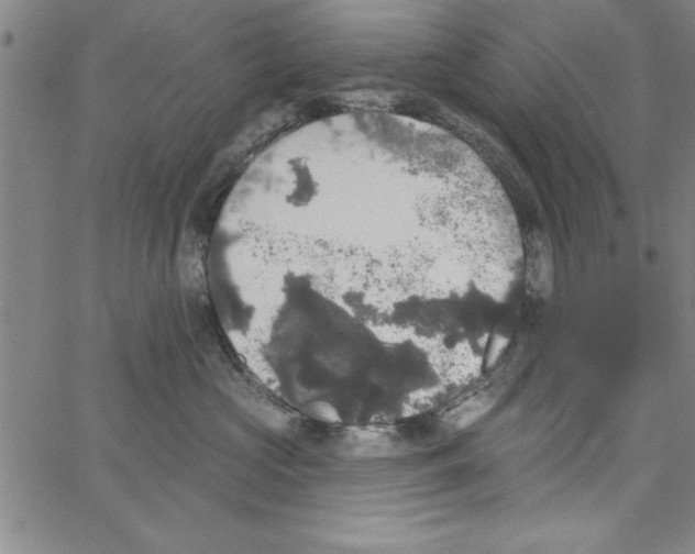 X0000066970573200604211909