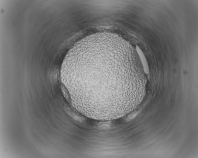 X0000066970574200604211909