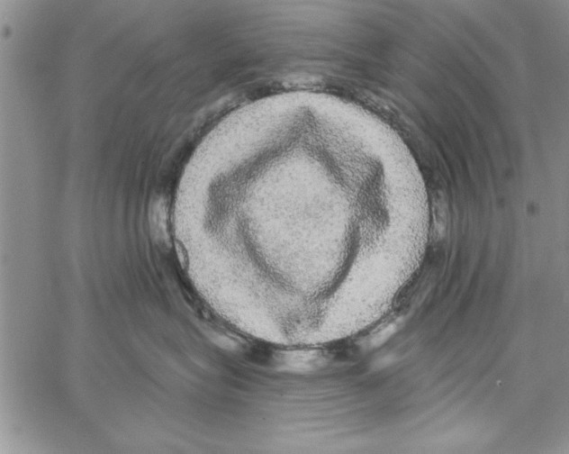 X0000066970575200604211909