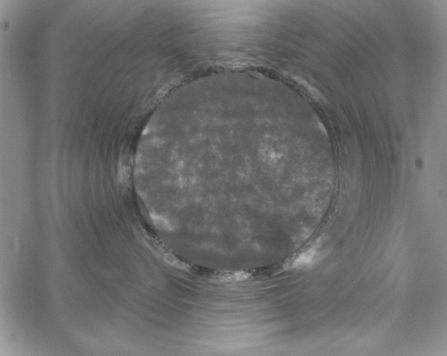 X0000066970576200604211909