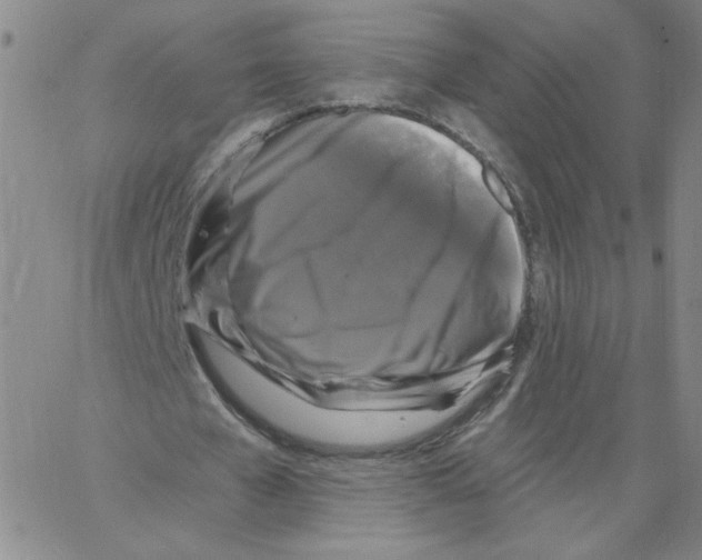 X0000066970577200604211909