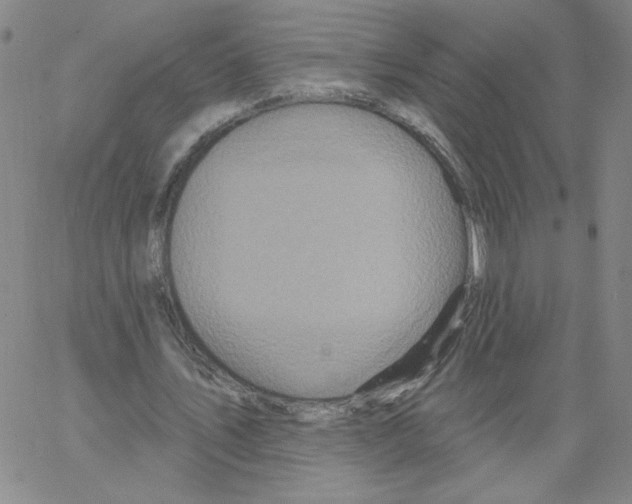 X0000066970579200604211909