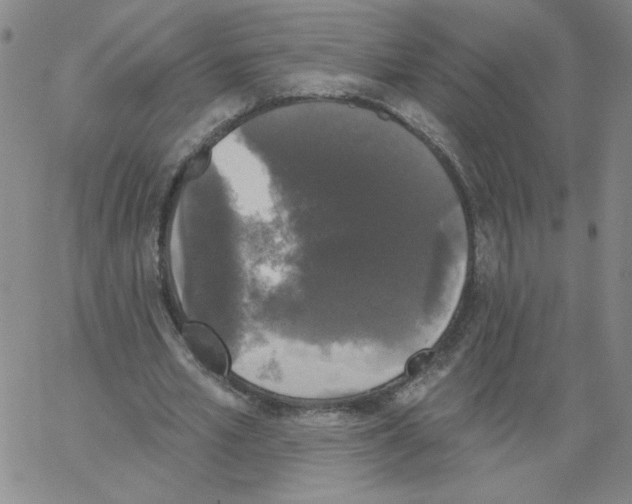 X0000066970581200604211909