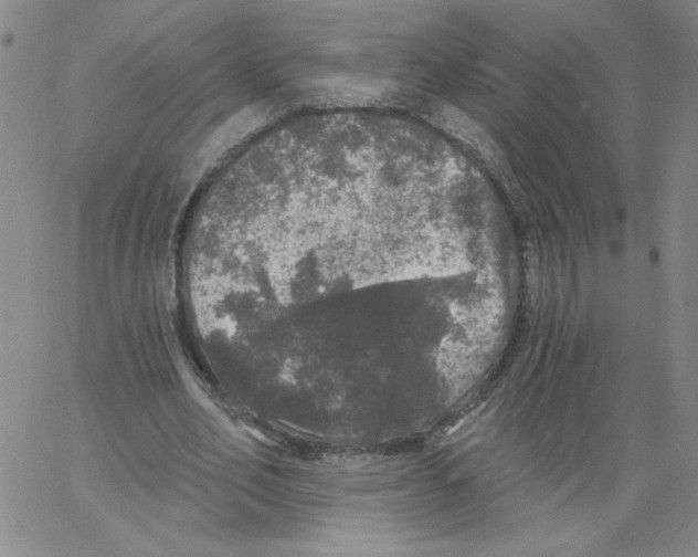 X0000066970582200604211909