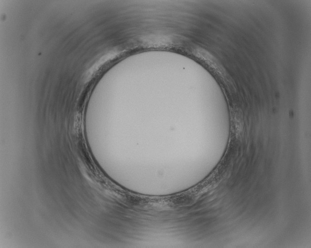 X0000066970583200604211909