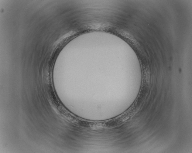 X0000066970587200604211908