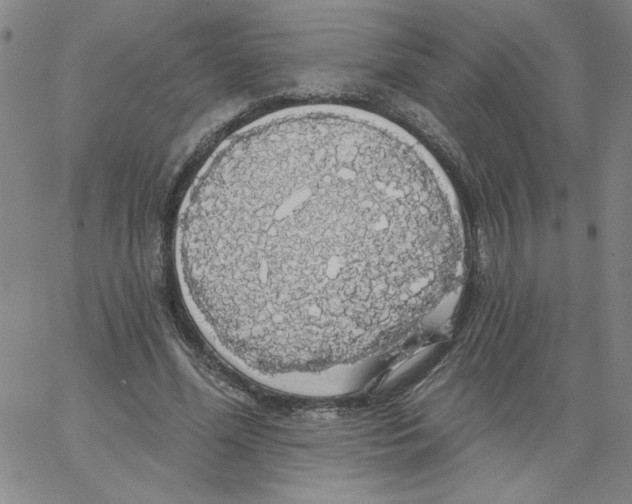 X0000066970588200604211908