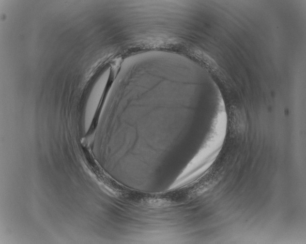 X0000066970590200604211908