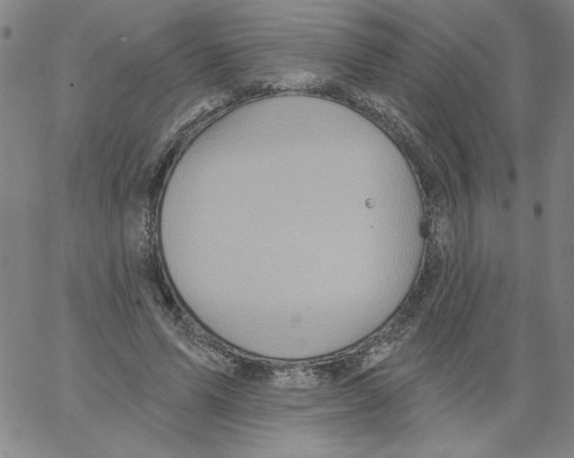 X0000066970591200604211908