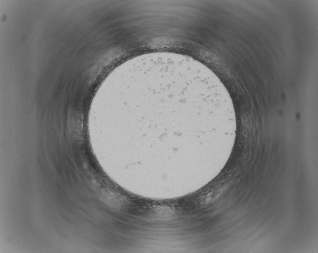 X0000066970592200604211908