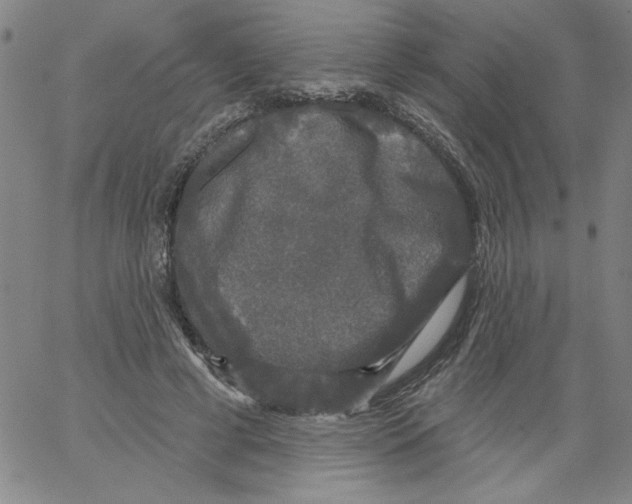 X0000066970593200604211908