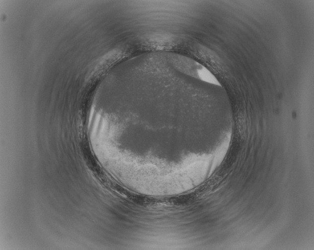 X0000066970594200604211908