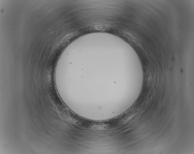 X0000066970595200604211908