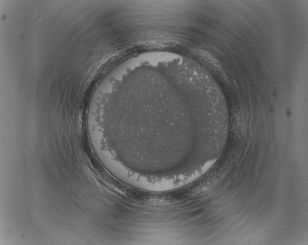 X0000066970596200604211908