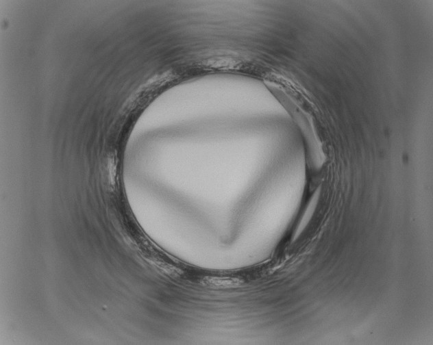 X0000066970597200604211908