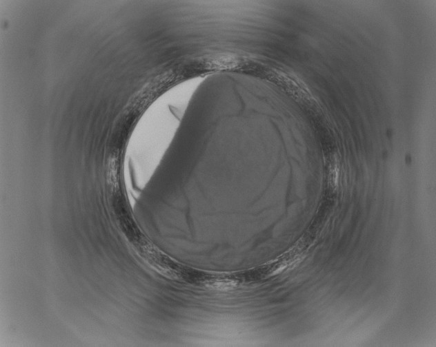 X0000066970598200604211908