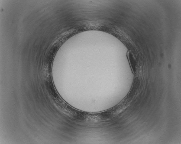 X0000066970599200604211908