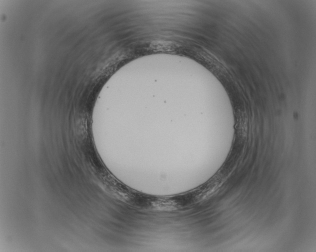 X0000066970603200604211908