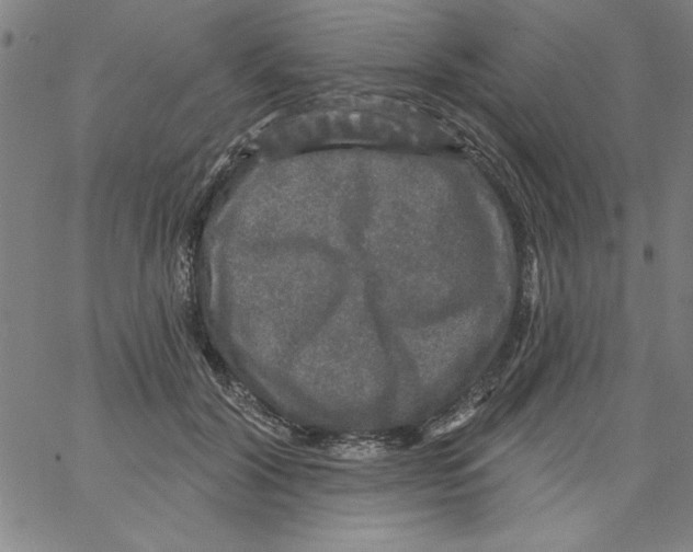 X0000066970604200604211908